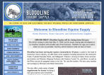 Bloodline Equine